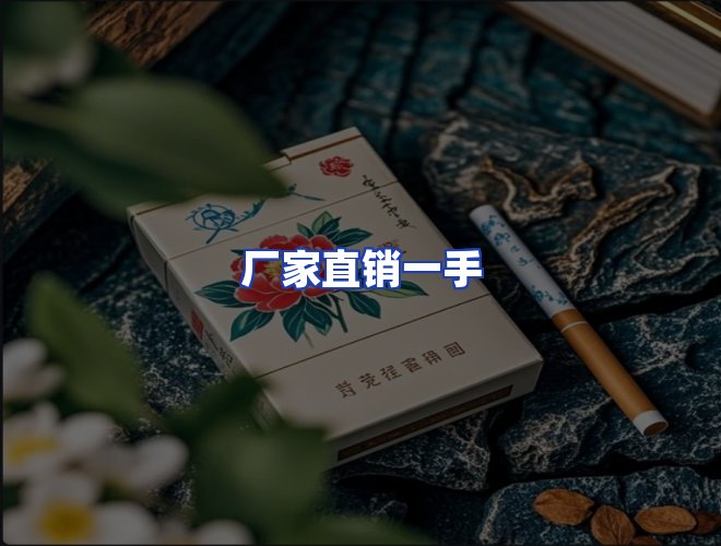 专业团队